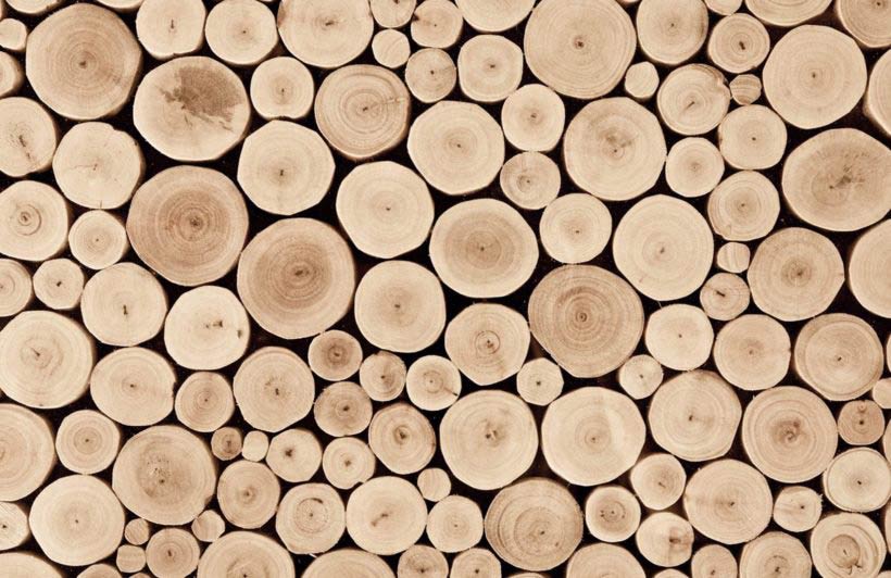 beech-solid-wood-flooring