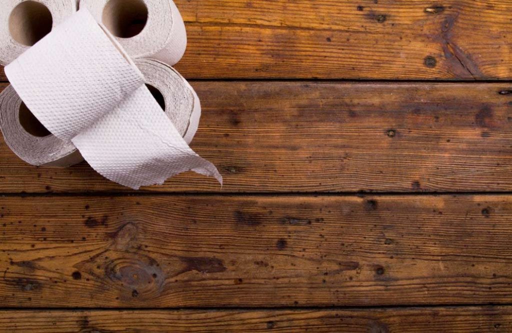 wooden-flooring-toilet